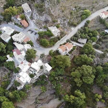 הוילה Alonai Athina'S House מראה חיצוני תמונה